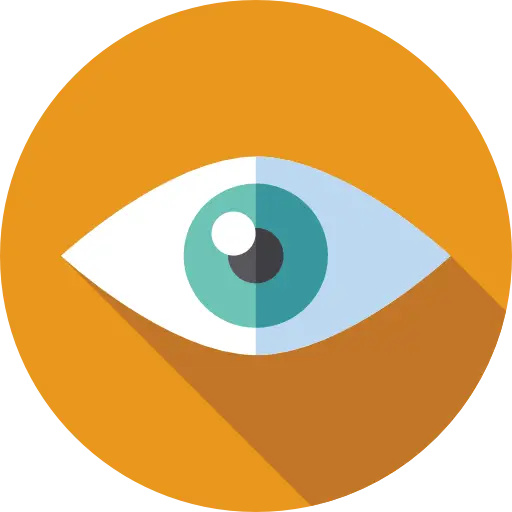 vision